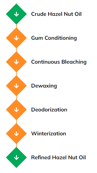 Hazel-nut-oil-process