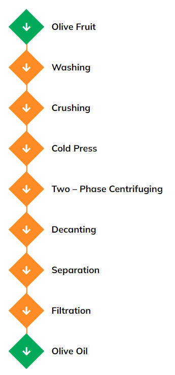 Olive-oil-process-plants-by-spectec