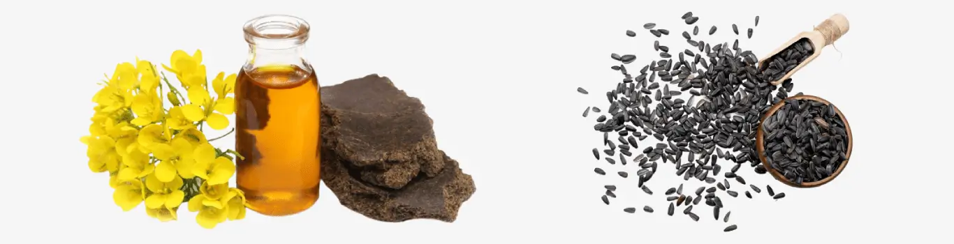 Solvent Extraction Process plant machine